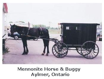 Mennonite horse and buggy, Aylmer, Ontario