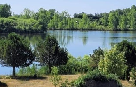 Lake at the back of Sunnybrook Cottage